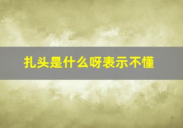 扎头是什么呀表示不懂