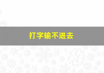 打字输不进去