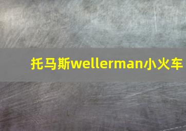 托马斯wellerman小火车