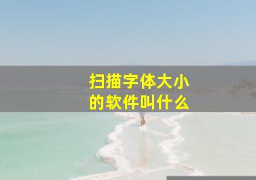 扫描字体大小的软件叫什么