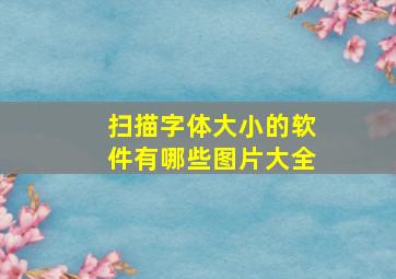 扫描字体大小的软件有哪些图片大全