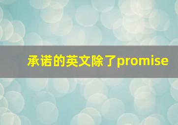 承诺的英文除了promise