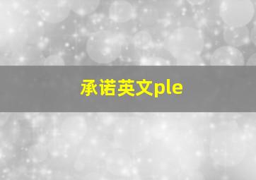 承诺英文ple