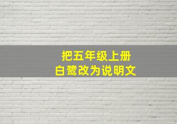 把五年级上册白鹭改为说明文