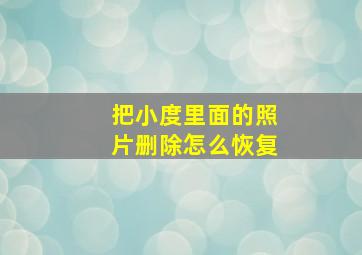 把小度里面的照片删除怎么恢复