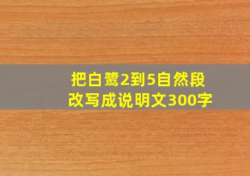 把白鹭2到5自然段改写成说明文300字