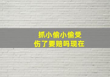 抓小偷小偷受伤了要赔吗现在