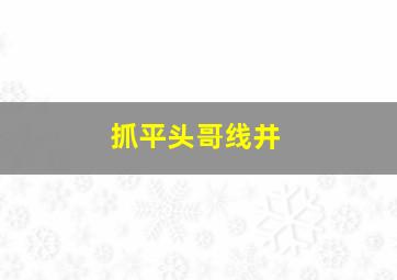 抓平头哥线井