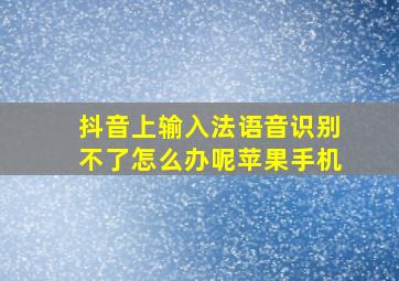 抖音上输入法语音识别不了怎么办呢苹果手机