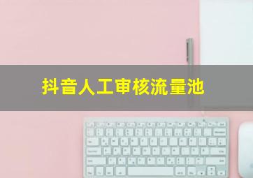 抖音人工审核流量池