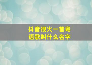 抖音很火一首粤语歌叫什么名字