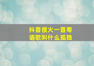 抖音很火一首粤语歌叫什么孤独