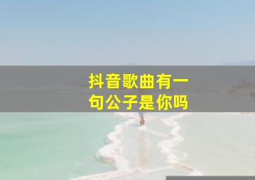 抖音歌曲有一句公子是你吗