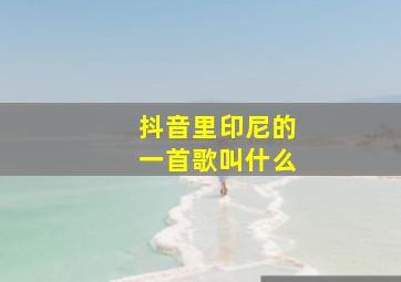 抖音里印尼的一首歌叫什么