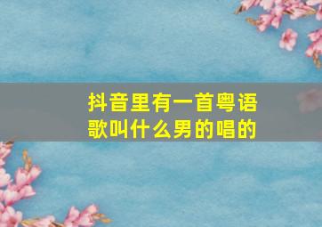 抖音里有一首粤语歌叫什么男的唱的