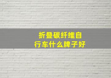 折叠碳纤维自行车什么牌子好