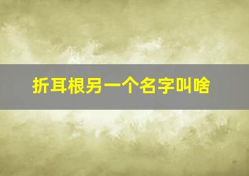 折耳根另一个名字叫啥