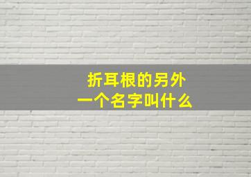 折耳根的另外一个名字叫什么