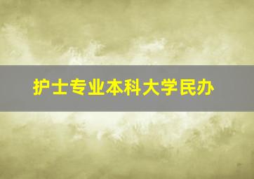 护士专业本科大学民办