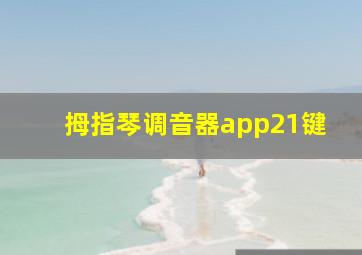 拇指琴调音器app21键