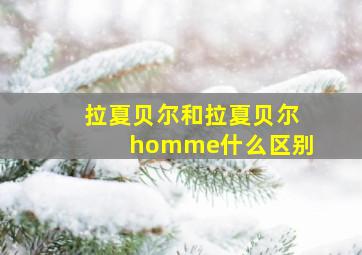 拉夏贝尔和拉夏贝尔homme什么区别