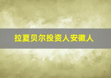 拉夏贝尔投资人安徽人