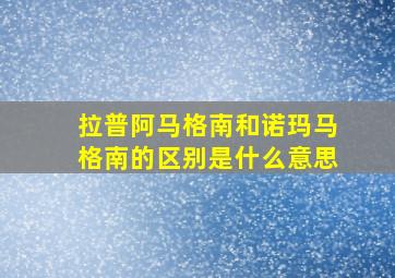 拉普阿马格南和诺玛马格南的区别是什么意思