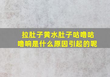 拉肚子黄水肚子咕噜咕噜响是什么原因引起的呢