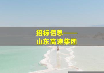 招标信息――山东高速集团