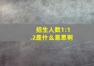 招生人数1:1.2是什么意思啊