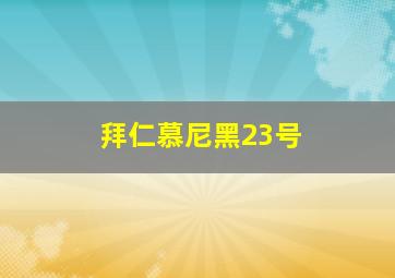 拜仁慕尼黑23号