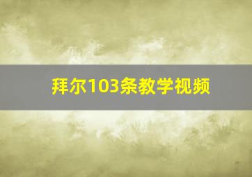 拜尔103条教学视频