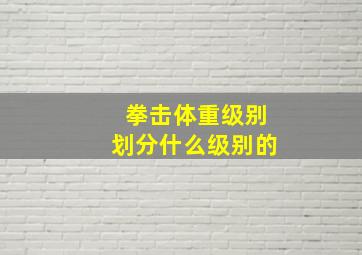 拳击体重级别划分什么级别的