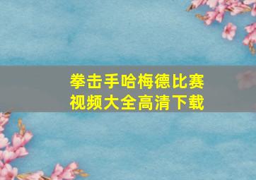 拳击手哈梅德比赛视频大全高清下载