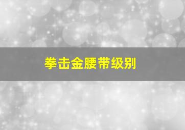 拳击金腰带级别