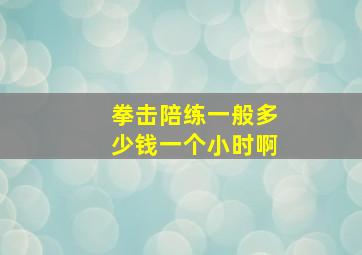 拳击陪练一般多少钱一个小时啊