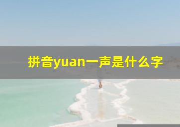 拼音yuan一声是什么字