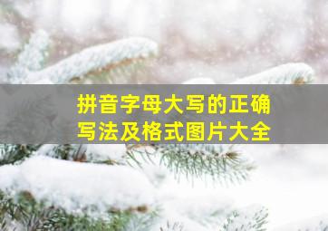 拼音字母大写的正确写法及格式图片大全