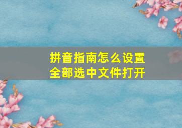 拼音指南怎么设置全部选中文件打开