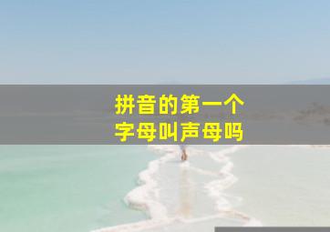 拼音的第一个字母叫声母吗