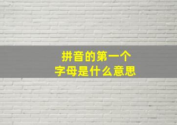 拼音的第一个字母是什么意思