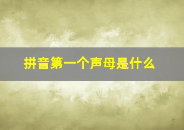 拼音第一个声母是什么