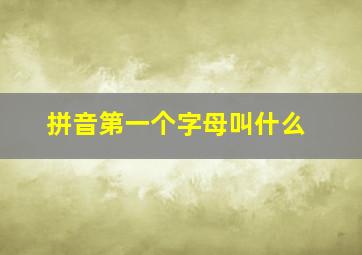 拼音第一个字母叫什么