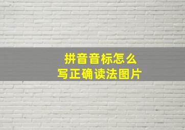 拼音音标怎么写正确读法图片