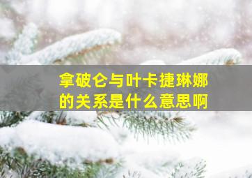 拿破仑与叶卡捷琳娜的关系是什么意思啊