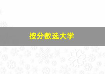 按分数选大学