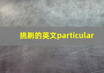 挑剔的英文particular