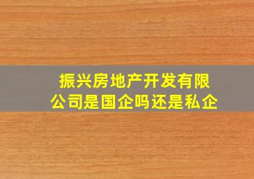 振兴房地产开发有限公司是国企吗还是私企