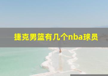 捷克男篮有几个nba球员