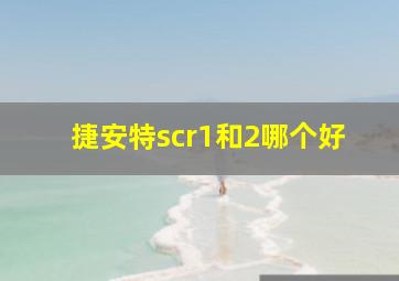 捷安特scr1和2哪个好